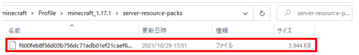 004.image_server-resourcepack_file.png